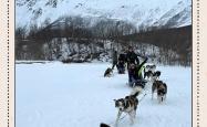 开云体育登录-挪威雪橇运动员闯关夺得城市冠军