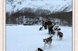 开云体育登录-挪威雪橇运动员闯关夺得城市冠军
