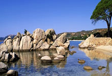 开云体育登录-荷兰大胜丹麦，苏亚雷斯神奇上演帽子戏法——足球盛宴的精彩瞬间