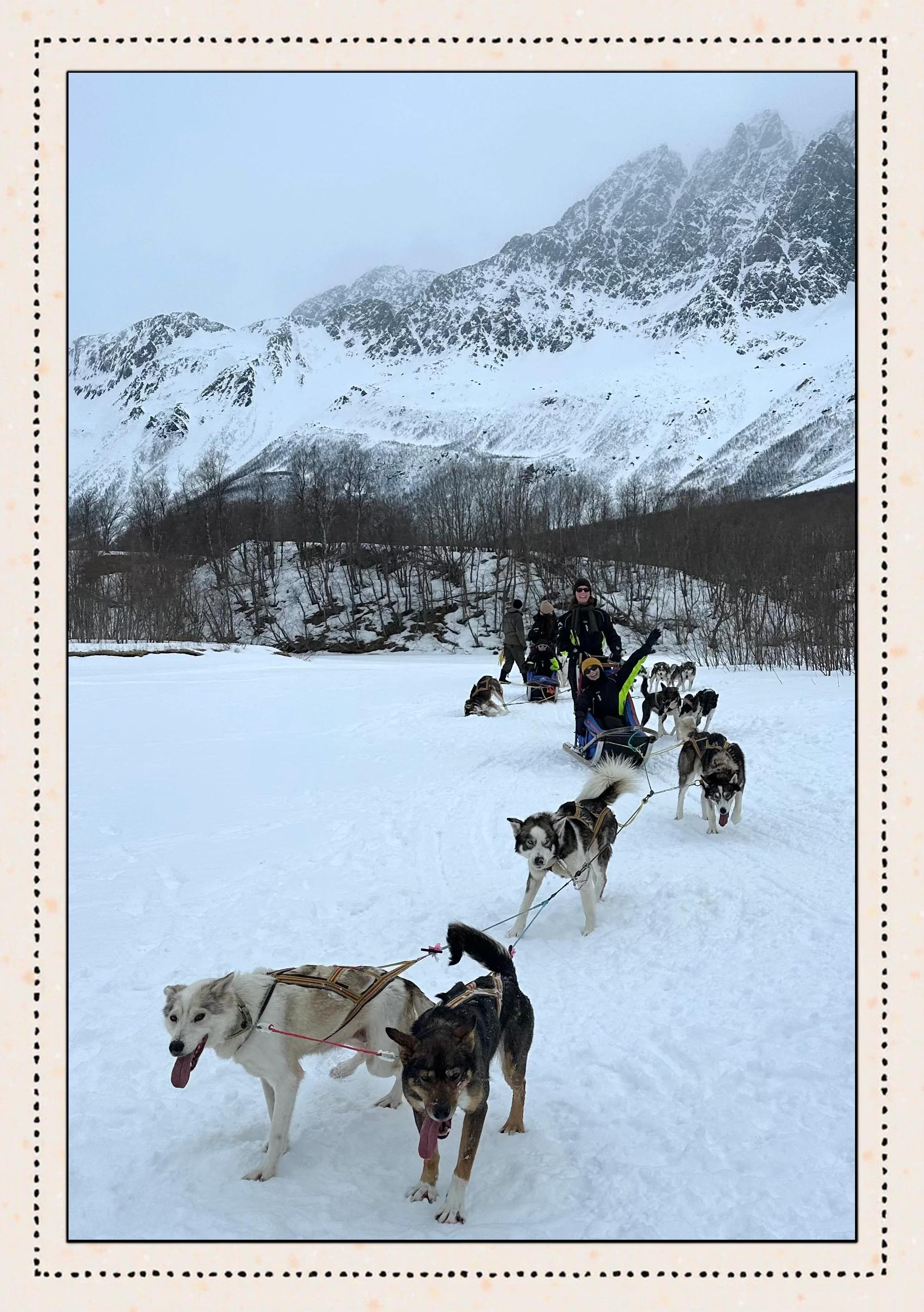 挪威雪橇运动员闯关夺得城市冠军