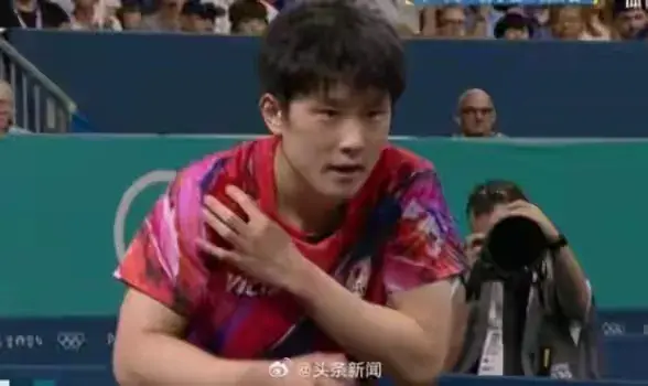 法国队逆转日本队，张本智和扛起全队的简单介绍